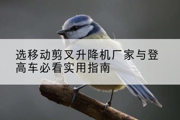 东海电动升降机厂家-选移动剪叉升降机厂家与登高车必看实用指南