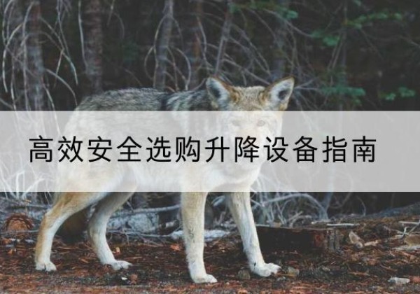 东海升降货梯厂家推荐-*安全选购升降设备指南