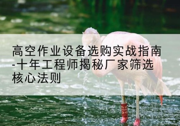东海剪叉式升降机厂家-高空作业设备选购实战指南-十年工程师揭秘厂家筛选核心法则